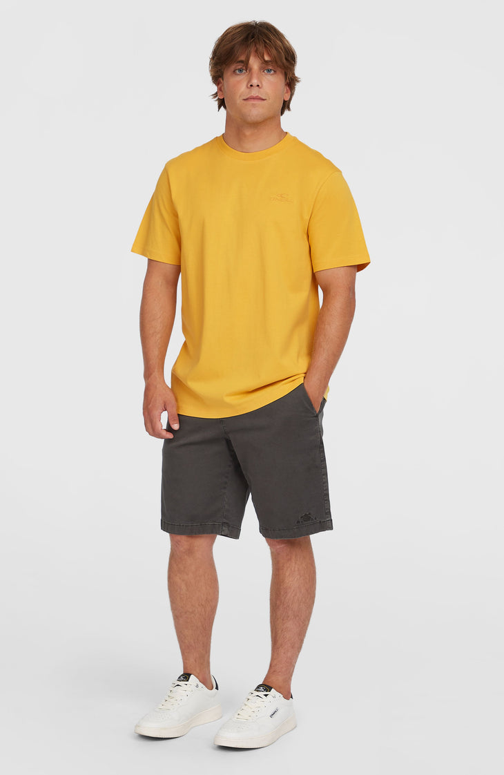 Small Logo T-Shirt | Golden Haze