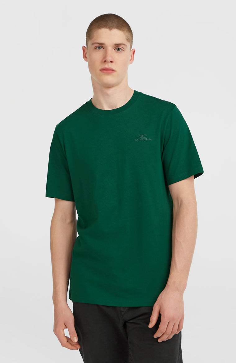 Small Logo T-Shirt | Emerald Envy Small Logo T-Shirt | Emerald Envy