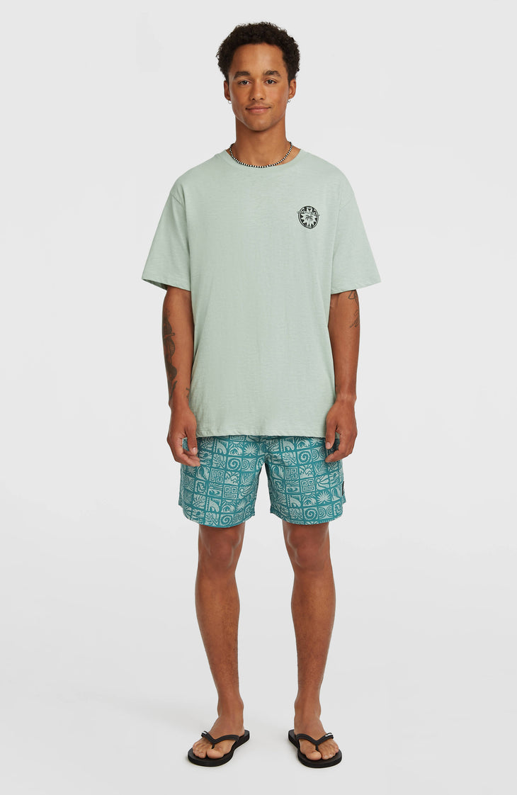 O’Neill Slub Back Print T-Shirt | Marble Arch