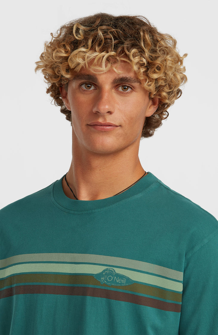 O'Riginals Front-Stripe T-Shirt | Botanical Heat