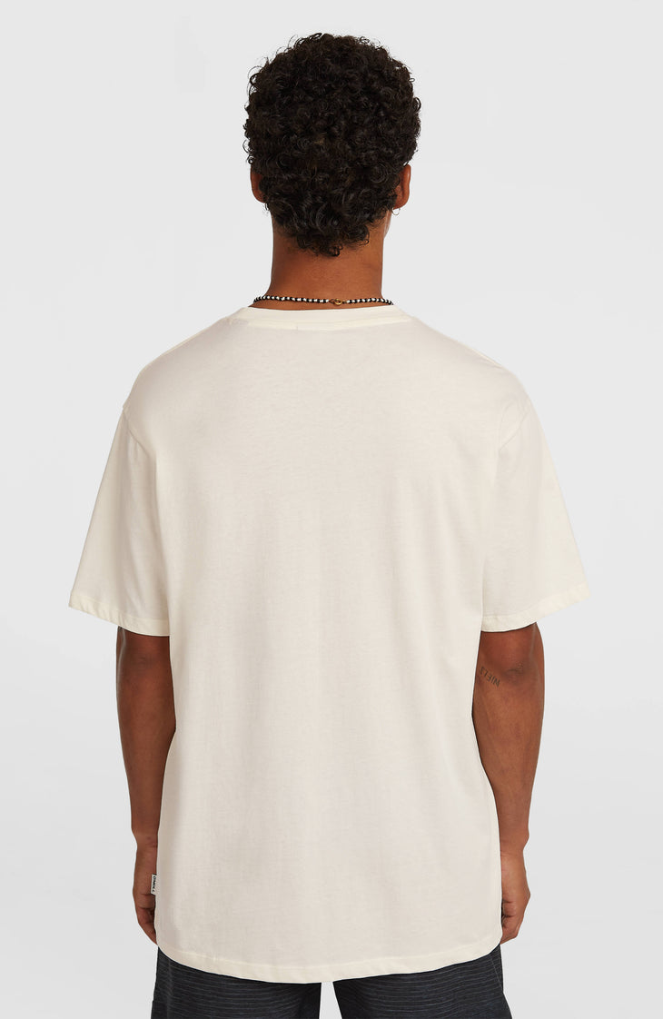 O’Neill Gradient T-Shirt | Snow White
