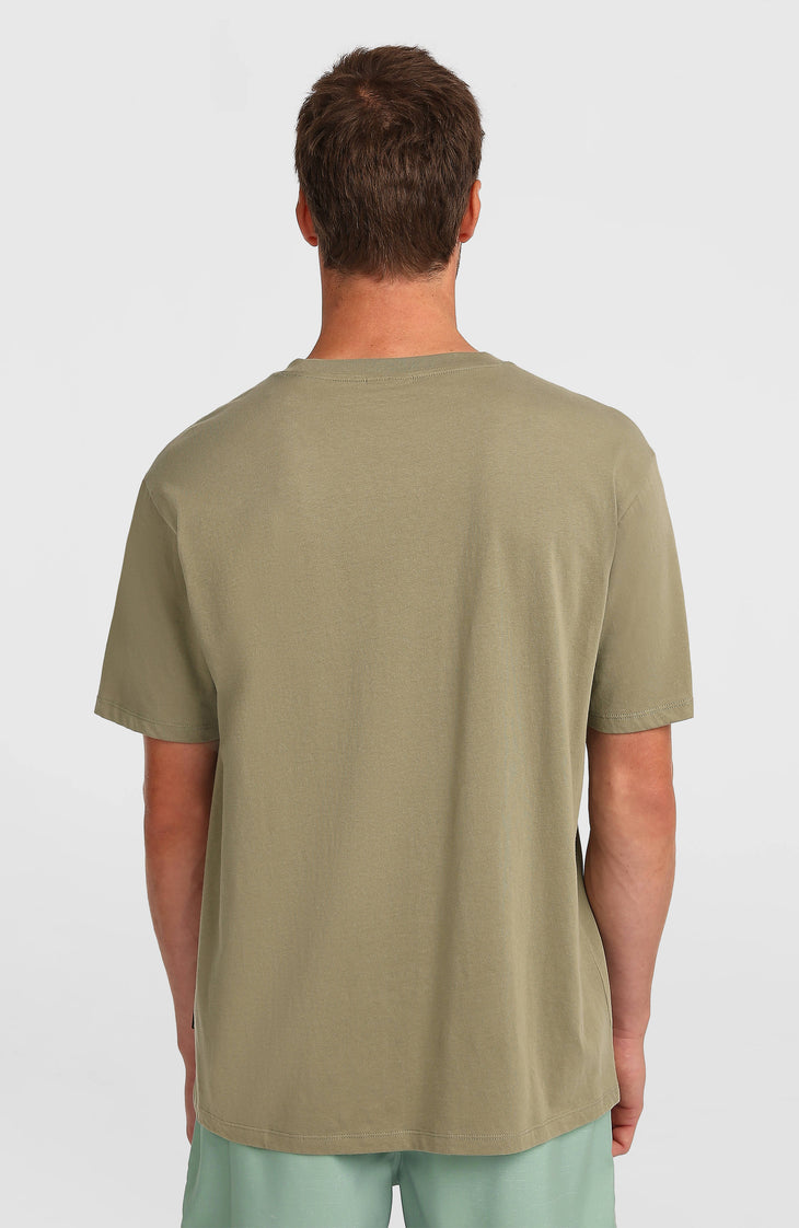 O’Neill Flower Stripe T-Shirt | Avery Fern