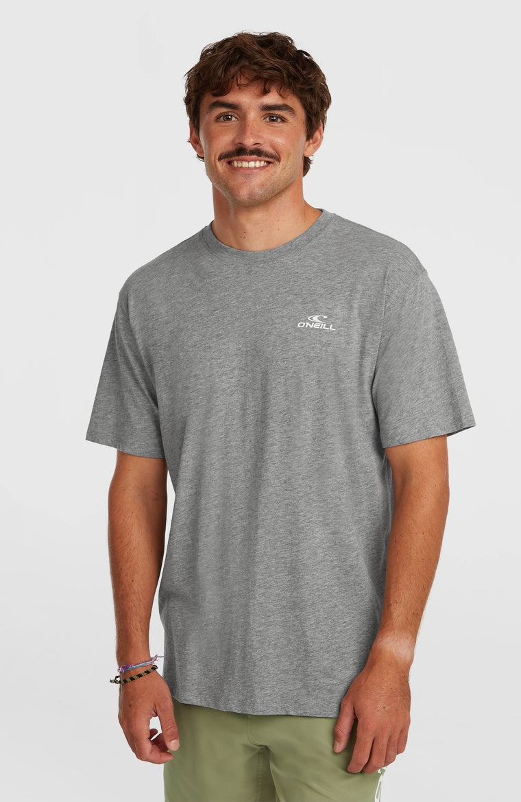 O'Neill Small Logo T-Shirt | Silver Melee O'Neill Small Logo T-Shirt | Silver Melee