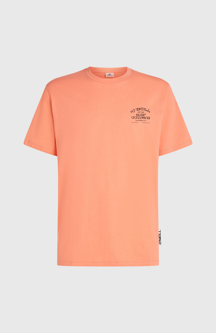 Melange Chest Print T-Shirt | Funky Peach