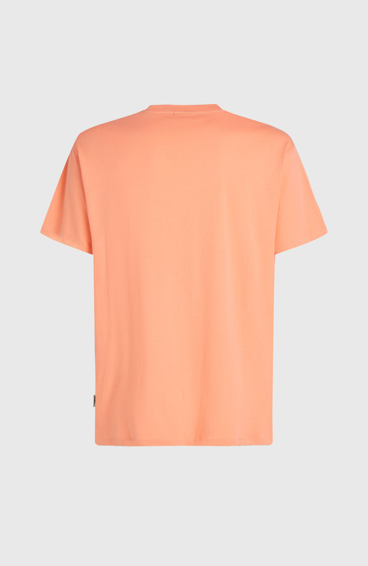 O'Neill Muir T-shirt | Funky Peach