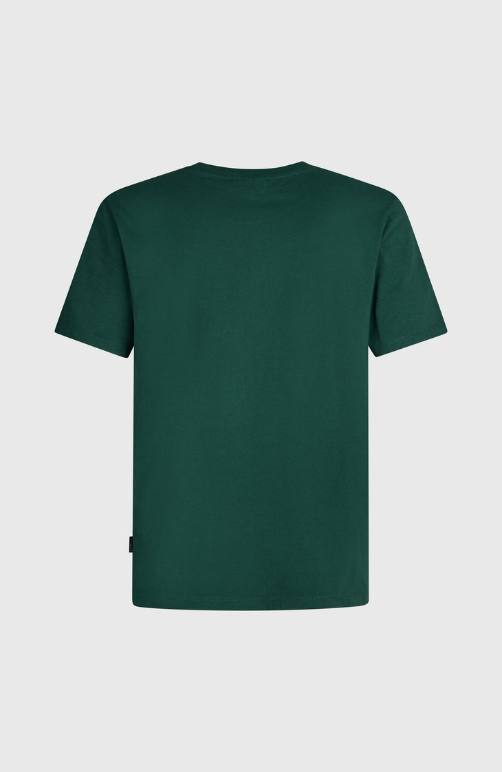O'NEILL CALI T-SHIRT | Emerald Envy