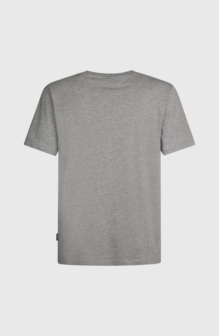 O'Neill Small Logo T-Shirt | Silver Melee