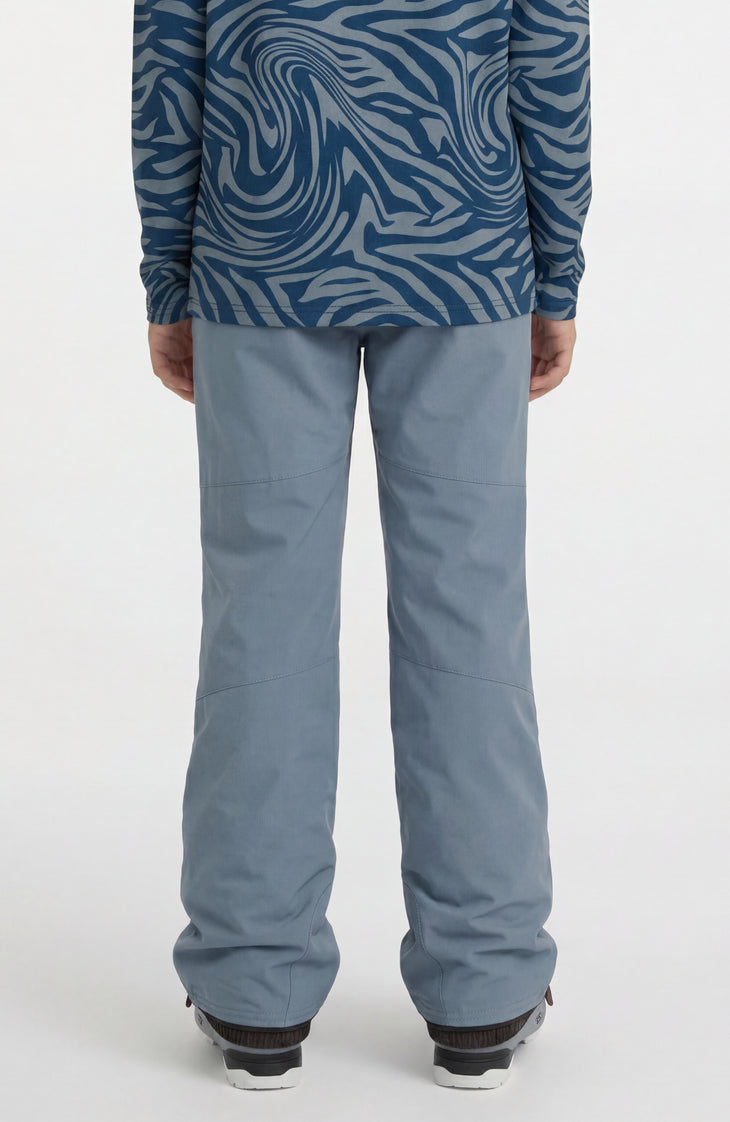 FWC'Cruz Snow Pants | Murky Water