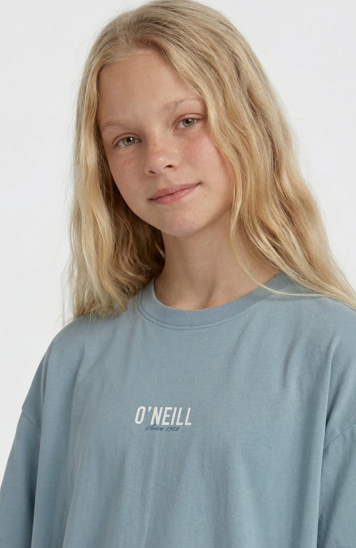 O'Neill Back Print T-Shirt | Murky Water
