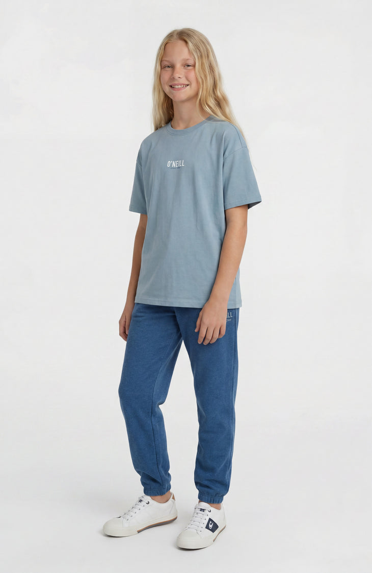 O'Neill Back Print T-Shirt | Murky Water