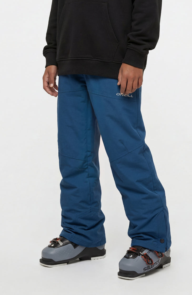 FWC'Cruz Snow Pants | Regal Blue