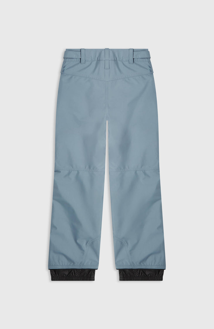 FWC'Cruz Snow Pants | Murky Water