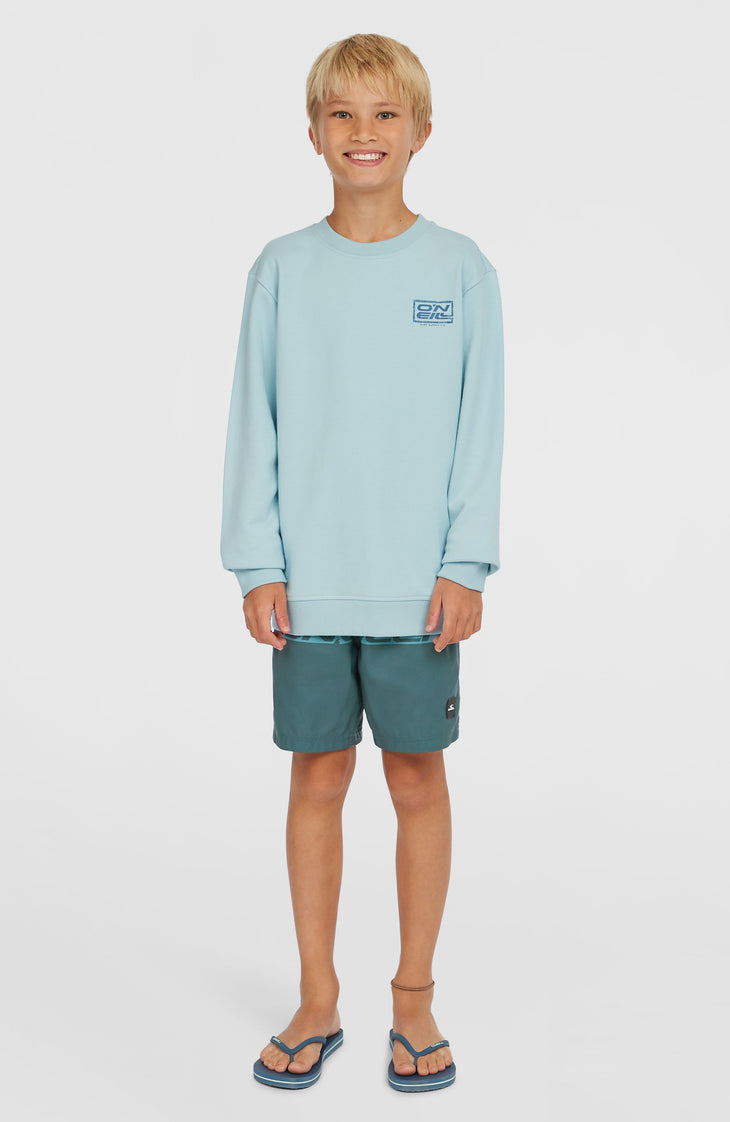 Logo Crew Sweatshirt | Morning Glory