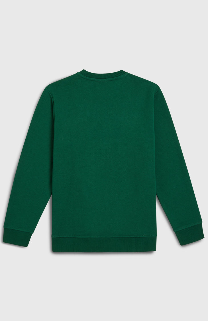 Essentials Crew Sweatshirt | Emerald Envy