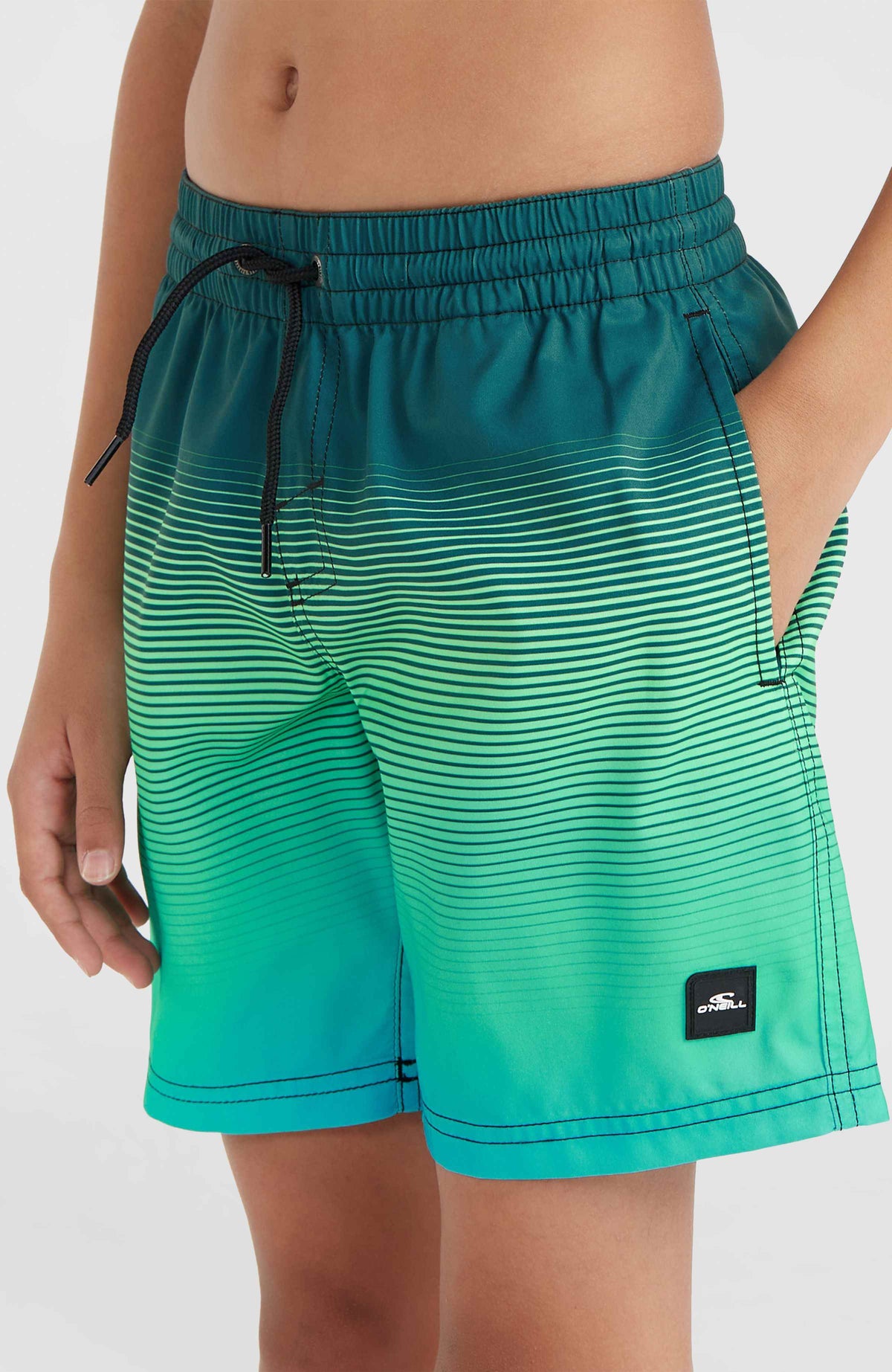 Jack O'Neill Cali Gradient 14'' Swim Shorts | Beetle Juice Simple Gradient Panel