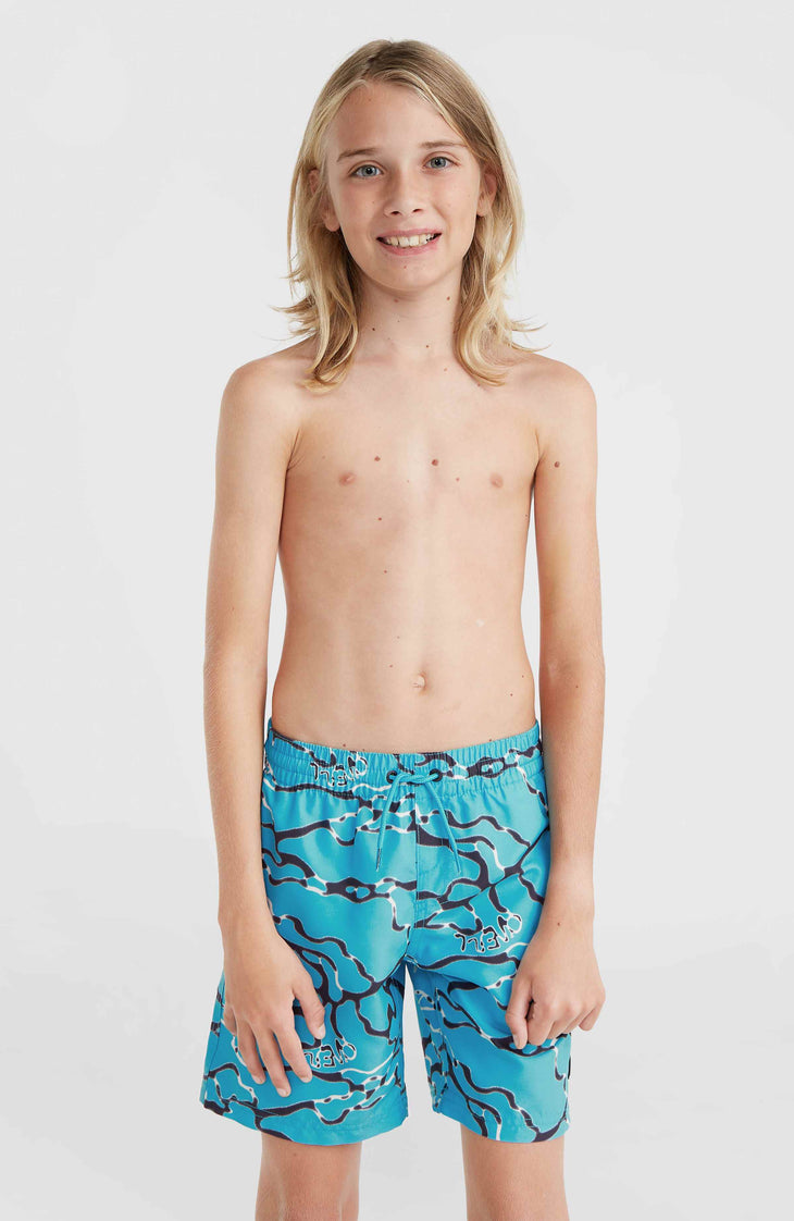 Jack O'Neill Cali Crazy 14'' Swim Shorts | Light Blue Ocean View