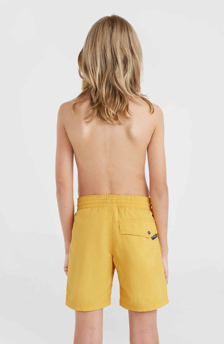 Vert 14'' Swim Shorts | Golden Haze
