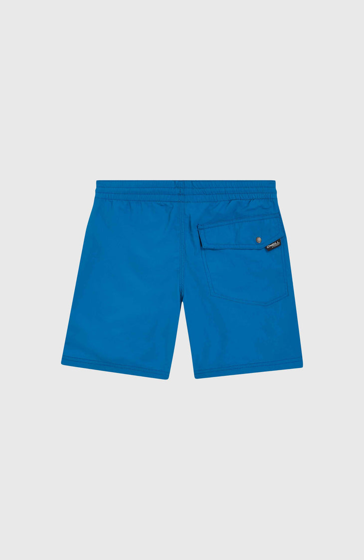 Vert 14'' Swim Shorts | Mary Poppins