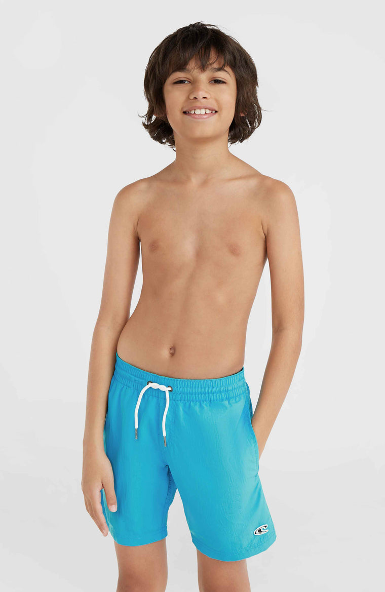 Vert 14'' Swim Shorts | Neon Blue Vert 14'' Swim Shorts | Neon Blue