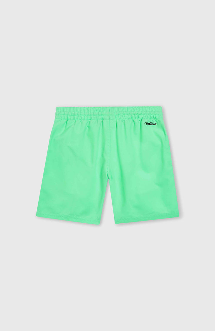 O'Riginals Cali 14'' Swim Shorts | Neon Green