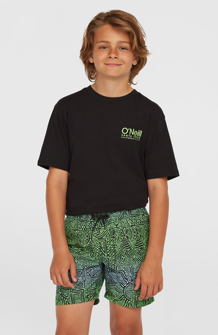 Cali 14'' Swim Shorts | Blue Gradikat