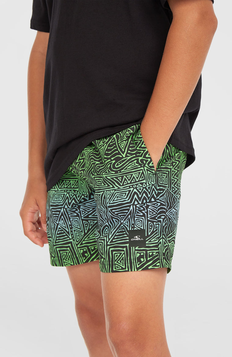Cali 14'' Swim Shorts | Blue Gradikat Cali 14'' Swim Shorts | Blue Gradikat
