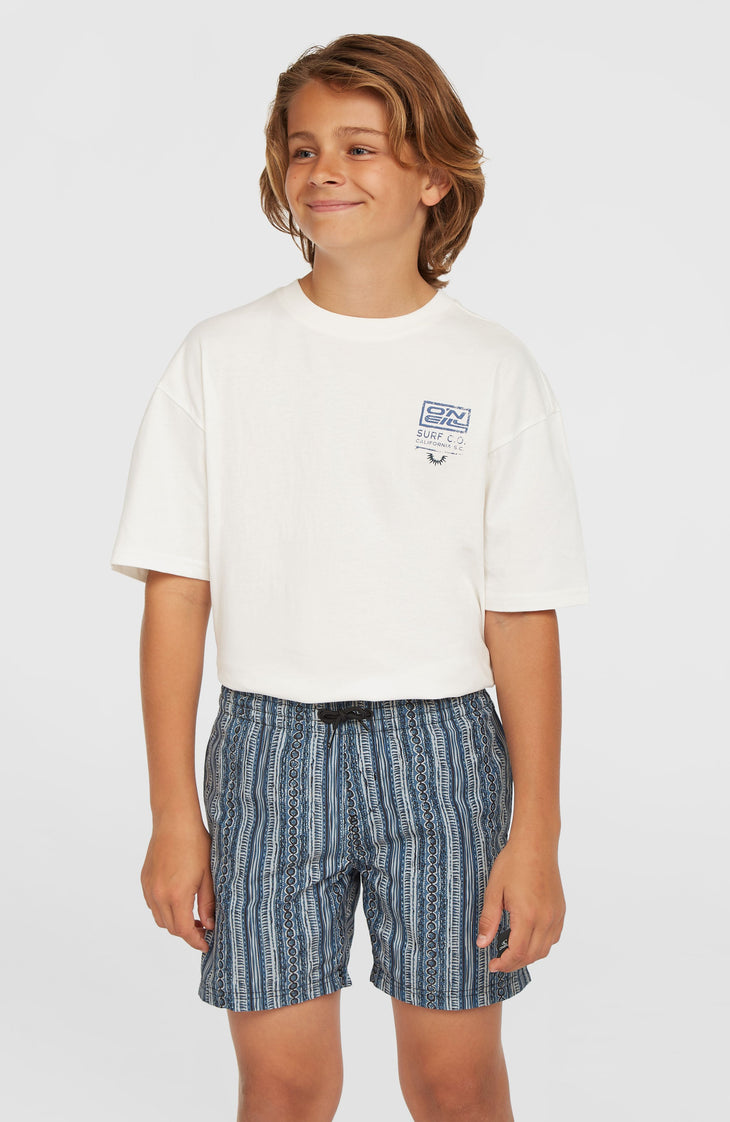 Cali 14'' Swim Shorts | Blue Pressed Lines