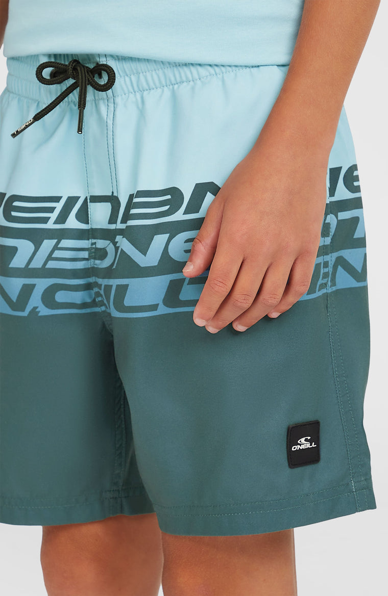 Cali Stripe 14'' Swim Shorts | Blue Upside Down Cali Stripe 14'' Swim Shorts | Blue Upside Down