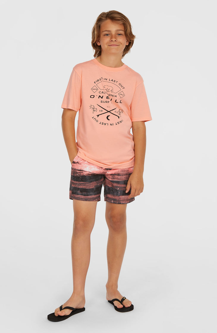Cali Gradient 14'' Swim Shorts | Coral Melted Texture