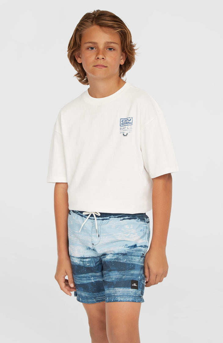 Cali Gradient 14'' Swim Shorts | Blue Melted Stripe Boys