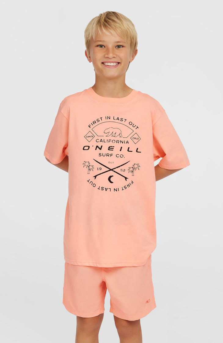 Vert 14'' Swim Shorts | Coral Pop