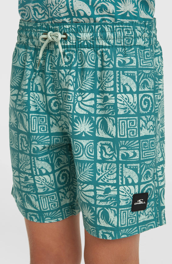O'Neill Print Swimshorts | Blue Bricks