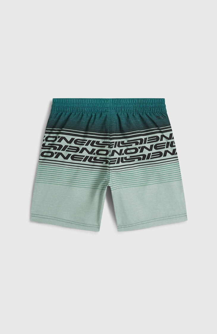 O'Neill Logo Stripe Swimshorts | Boys Green Heritage O'Neill
