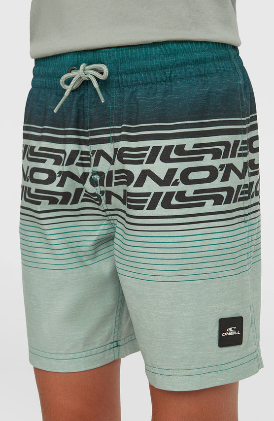 O'Neill Logo Stripe Swimshorts | Boys Green Heritage O'Neill