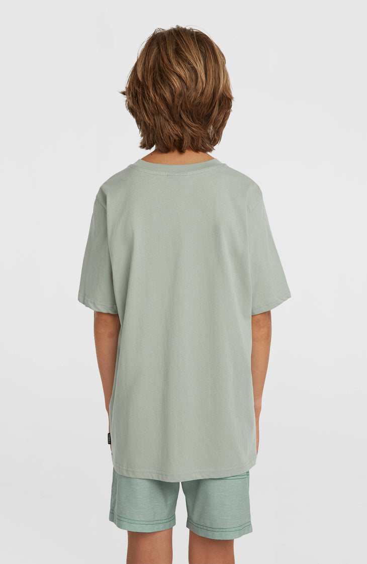 O'Neill Logo Stripe Swimshorts | Boys Green Heritage O'Neill