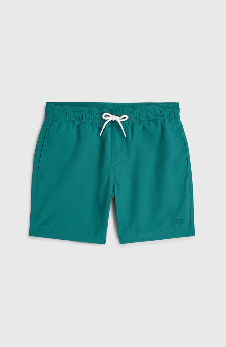 O'Neill Vert Swimshorts | Botanical Heat