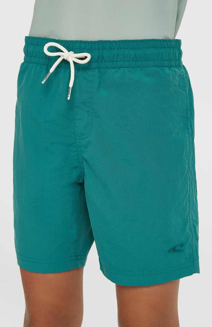 O'Neill Vert Swimshorts | Botanical Heat