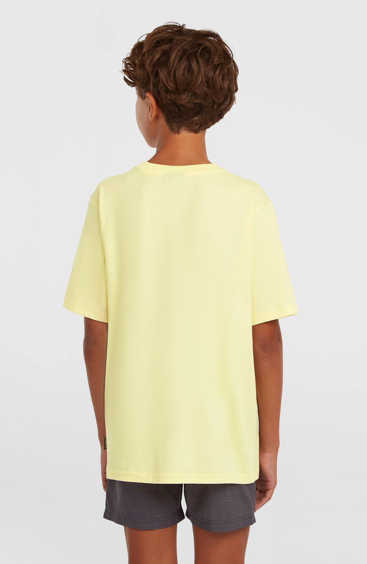 O'Neill Chest Print T-Shirt | Rainforest Dew