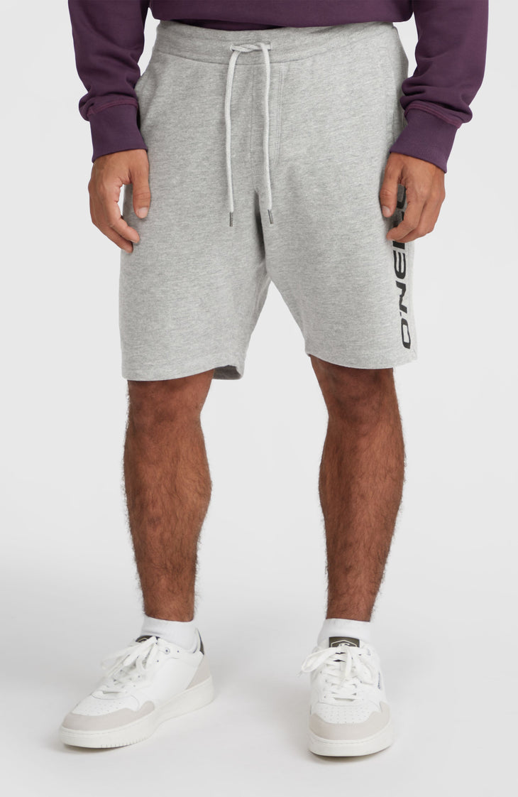 O'Neill Logo Sweatshorts | Silver Melee -A