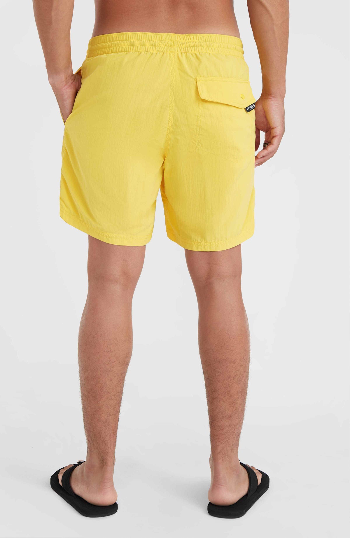 Vert 16'' Swim Shorts | Dandelion