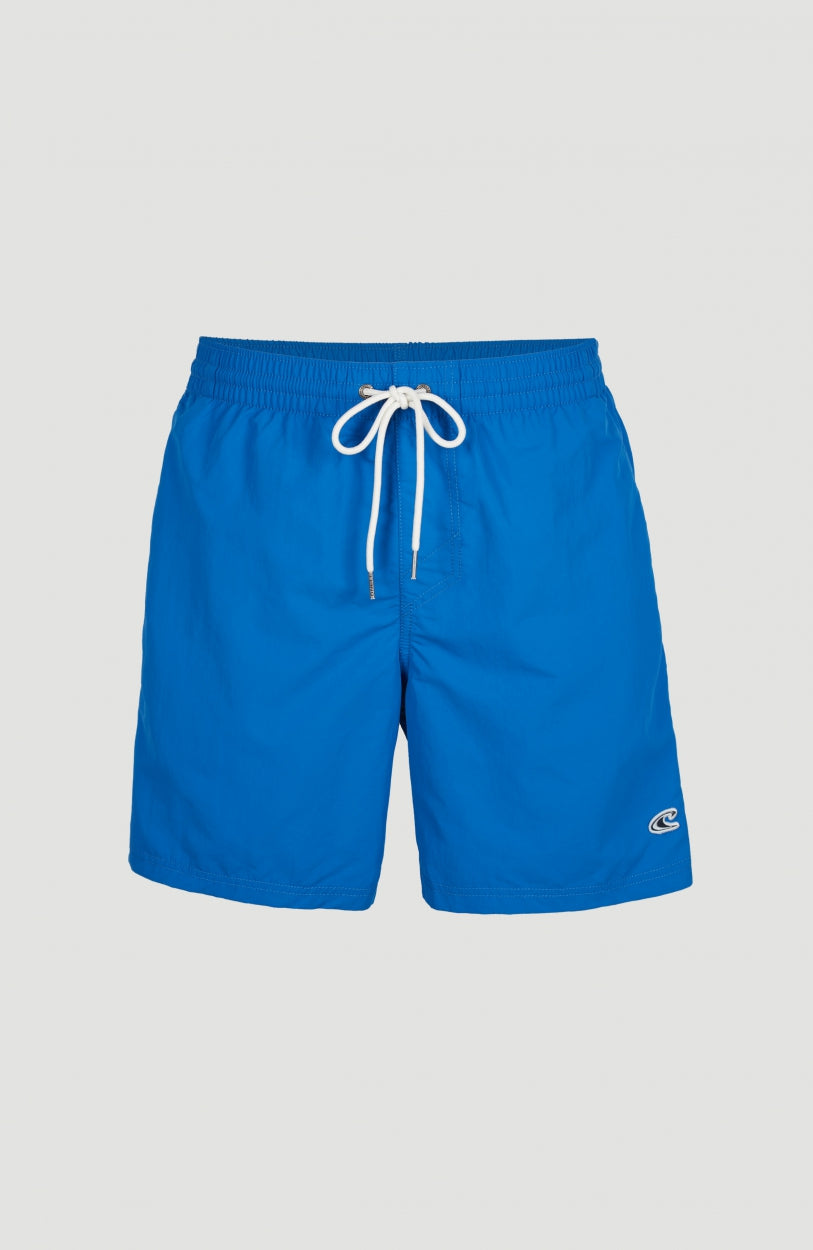 Oneill mens swim shorts online