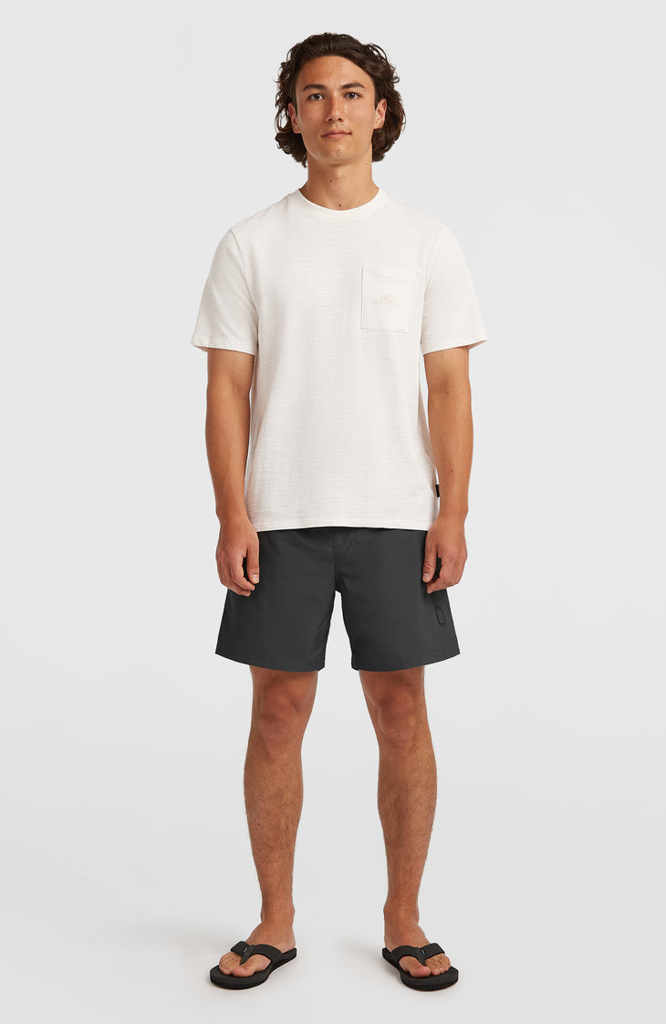 Cali 16" Swim Shorts | Asphalt