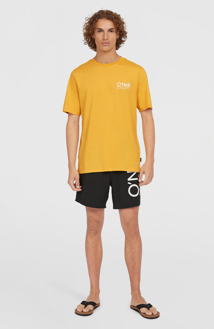 Original Cali 16" Swim Shorts | Black Out