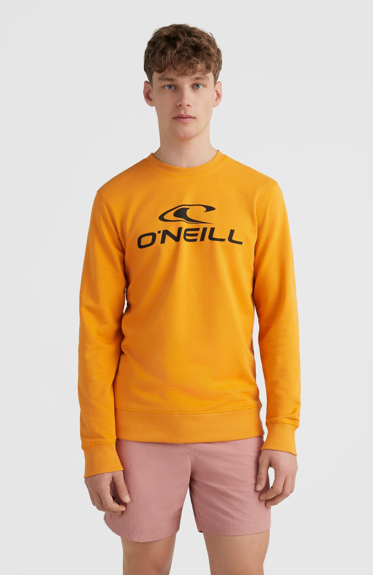 O'Neill Logo Crew Sweatshirt | Nugget