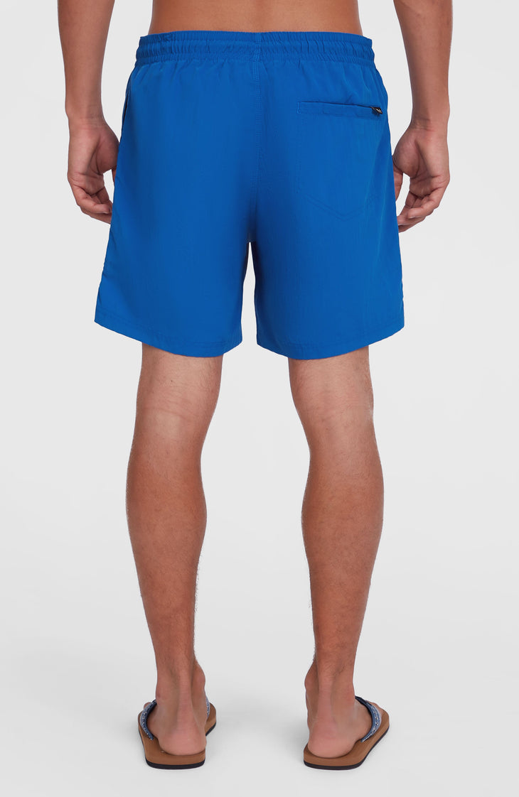O'Neill Vert 16" Swim Shorts | Victoria Blue