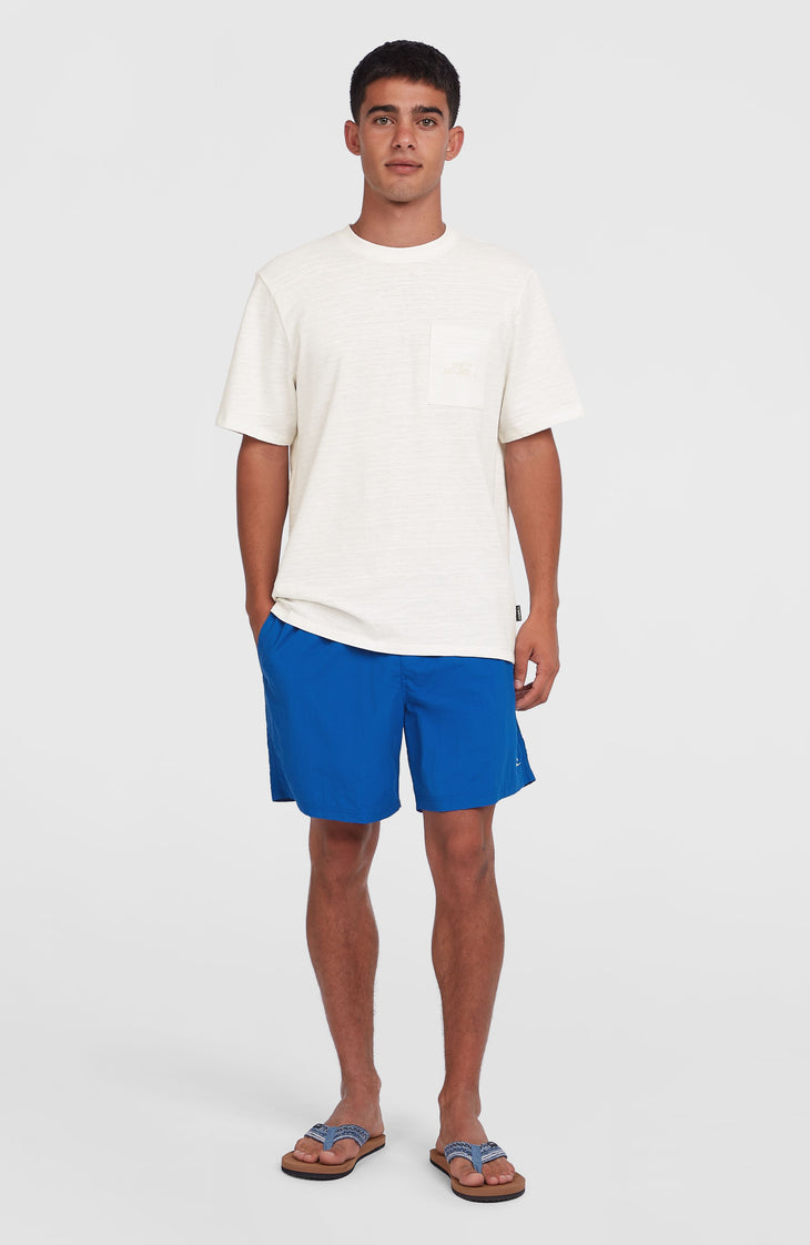 O'Neill Vert 16" Swim Shorts | Victoria Blue