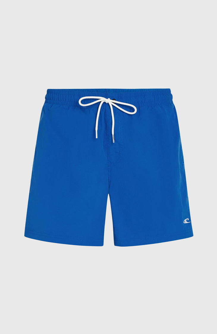 O'Neill Vert 16'' Swim Shorts | Victoria Blue