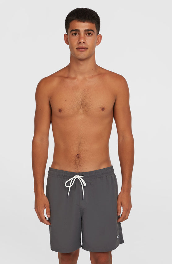 O'Neill Vert 16" Swim Shorts | Asphalt