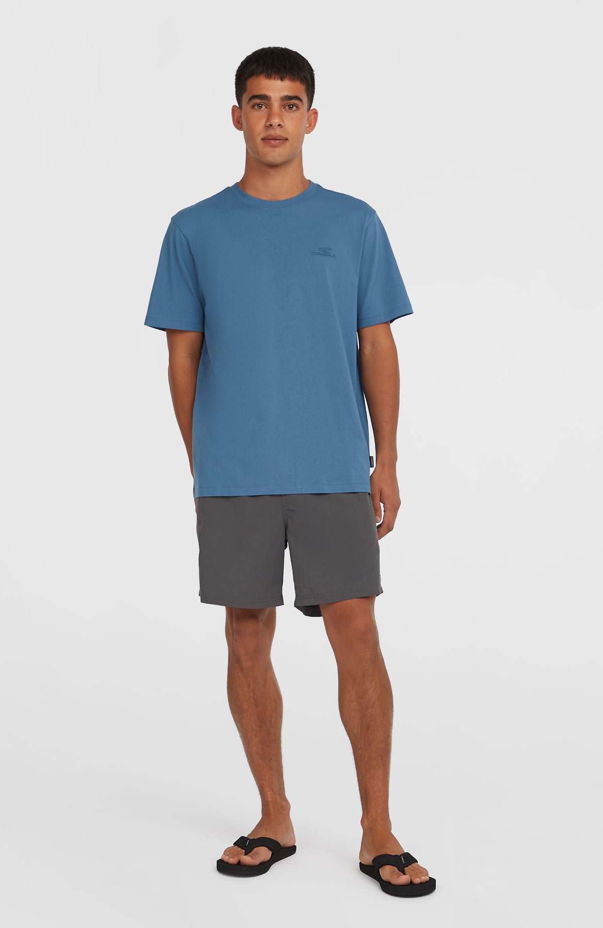 O'Neill Vert 16" Swim Shorts | Asphalt