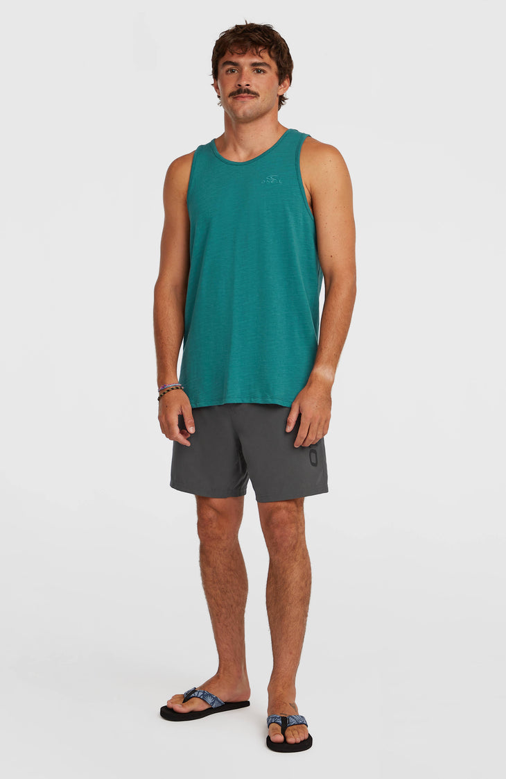 O'Neill Logo 16" Swimshorts | Asphalt